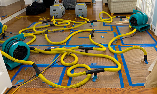 Professional Sewage Cleanup technician working in Salado, TX